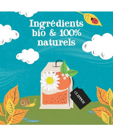 CLIPPER - Infusion Bio - Camomille et P che - Issu du Commerce quitable - 20 Sachets d'Infusion - 1 Paquet Mangue 20 Sachets - Buy Online on GoSupps.com