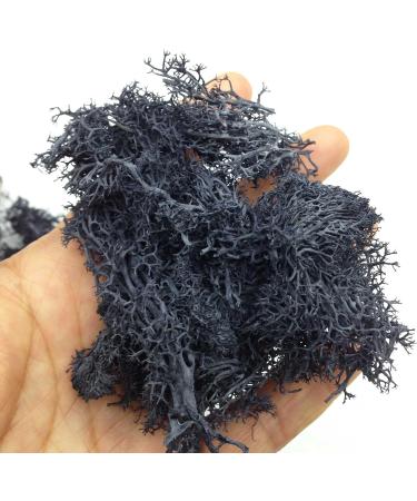 KARMELLING 20g Preserved Reindeer Moss for Fairy Gardens & Crafts - Black - Buy Online on GoSupps.com