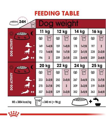 Royal Canin Medium Adult 7+ Dry Dog Food 4kg - Buy Online on GoSupps.com