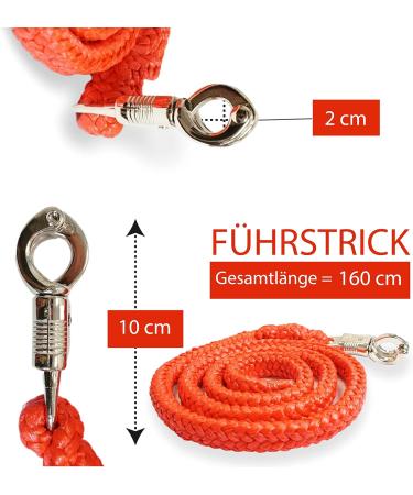 Lead Rope with Panic Hook for Horses Ponies & Donkeys - 1.60m Stylish Designs (Red) - International Shipping Available - Buy Online on GoSupps.com