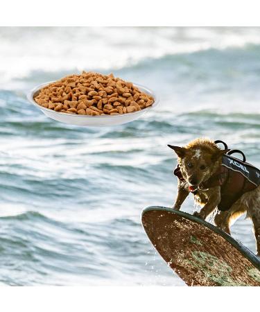 Forest Guys Stainless Steel Dog & Cat Bowls - 5-Pack Stainless Steel Dishes - Buy Online on GoSupps.com