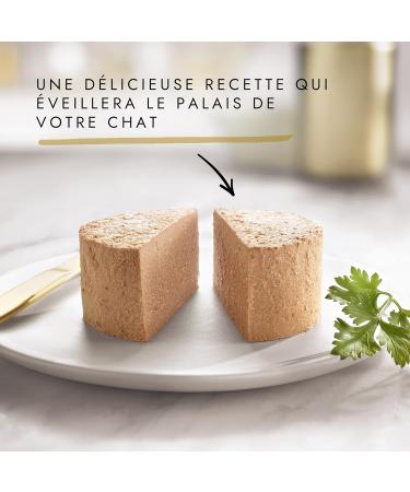 Buy Nestle Gourmet Gold Les Mousselines - Rabbit Beef Veal & Lamb - 96x85g Pack | Premium Pet Food for International Shipping - Buy Online on GoSupps.com