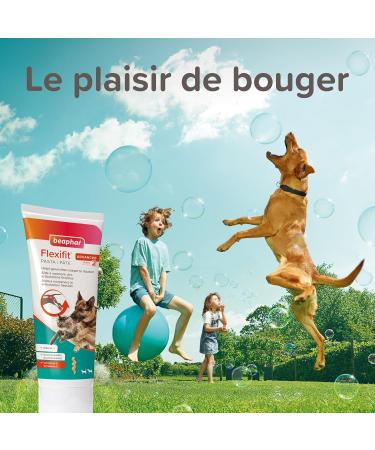 BEAPHAR Flexifit Joint Paste for Dogs and Cats Contains vitamins collagen glucosamine calcium and essential fatty acids for animals suffering from stiffness Level 2 250g - Buy Online on GoSupps.com