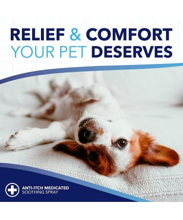 TropiClean Oxymed Soothing Wipes for Dogs & Cats, Anti-Itch Relief, 50 Count - Buy Online on GoSupps.com
