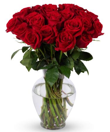 Benchmark Bouquets 2 Dozen Red Roses, With Vase (Fresh Cut Flowers)