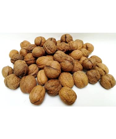 Buy Igart Hazelnuts 5kg & Walnuts 10kg | Eco Quality | Harvest 2023 | Natural Delicacies | Supernut Mix | Untreated Nuts - Buy Online on GoSupps.com