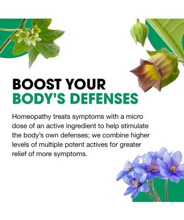 BHI Flu + Cold Multi-Symptom Relief - Natural Non-Drowsy Remedy with 11 Homeopathic Active Ingredients - 100 Tablets - Buy Online on GoSupps.com