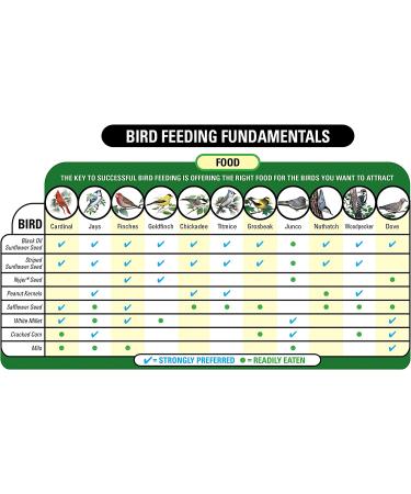 Wagner's 18542 Cracked Corn Wild Bird Food - 10 lb Bag | High-Quality Wild Bird Feed - Buy Online on GoSupps.com