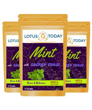 lotustoday Mint Herbal Tea Refreshing Spearmint Peppermint & Holy Basil Fresh Mint Tea Bags (63 Tea Bags)