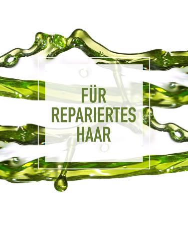 Buy Nature Box Avocado Body Scrub - Pack of 6 (200 ml Each) | International Shipping Available - Buy Online on GoSupps.com