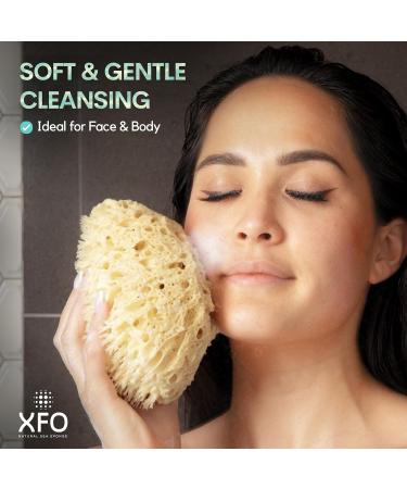 XFO Natural Sea Sponge - Medium 5in Wool Sponge for Bathing Showering & Exfoliating | Eco-Friendly Loofah Alternative Sourced from USA - Buy Online on GoSupps.com
