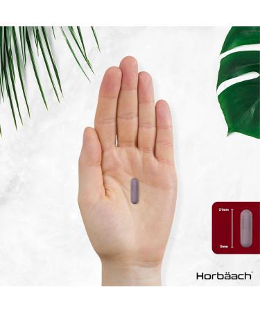 Grape Seed Extract Capsules | 16 000mg | 95% OPCs | High Strength Supplement | 90 Count | by Horbaach - Buy Online on GoSupps.com