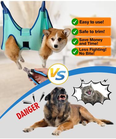 Buy Kkiimatt Pet Care Hammock for Small Dogs - Dog Hinge Trim with Nail Clipper & Hooking Mat (XX-Small 3.5kg Max Turquoise) - International Shipping Available - Buy Online on GoSupps.com