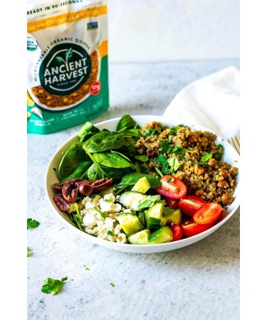 Organic Microwavable Sea Salt Quinoa - Vegan Plant Based Protein, Gluten-Free, Non-GMO Ingredients - Family Size 16oz (Pack of 6) - Buy Online on GoSupps.com