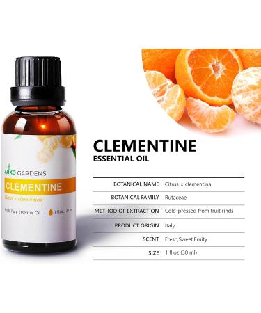 Citrus Essential Oil Set - Pack of 3 (1 oz) | Pure Therapeutic Grade Lime Clementine Grapefruit | International Shipping Available - Buy Online on GoSupps.com