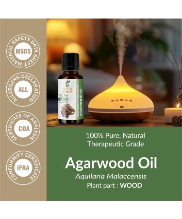 AGARWOOD (AQUILARIA MALACCENSIS) OUD OIL 100% Pure Undiluted Natural Uncut Therapeutic Grade Steam Distilled Essential Oils For Skin Hair And Aromatherapy 5000ML - Buy Online on GoSupps.com