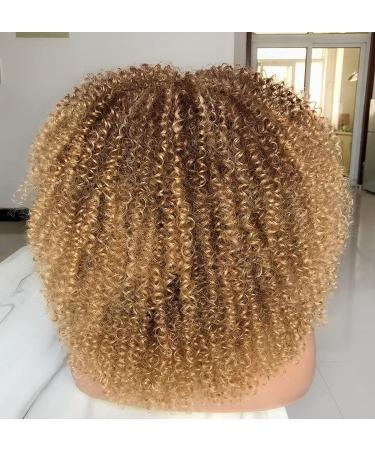 Anivia 16 Curly Wigs for Women | Ombre Blonde Afro Curly Synthetic Fiber Wig | Glueless Long Confused Curly Hair - Buy Online on GoSupps.com
