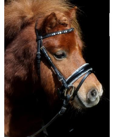 Tysons Breeches Nobless Bridle for Minishetty - Anatomically Cut Black Silver Grey with Rhinestones - Buy Online on GoSupps.com