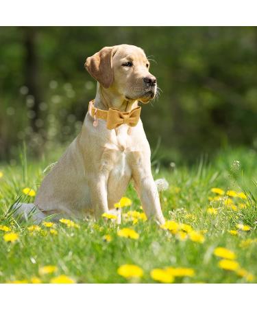 Dogwong Yellow Dog Collar with Removable Fly | Adjustable & Comfortable Collar for Small to X-Large Dogs | Perfect Gift for Dog Lovers - Buy Online on GoSupps.com