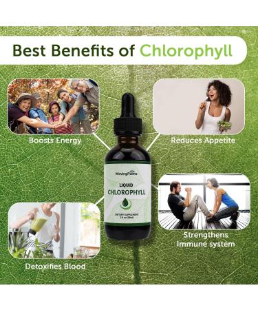 Liquid Chlorophyll Drops Chlorophyll Liquid Drops for Water Chlorophyll Liquid Drops Energy Boost Immune System Support - Buy Online on GoSupps.com