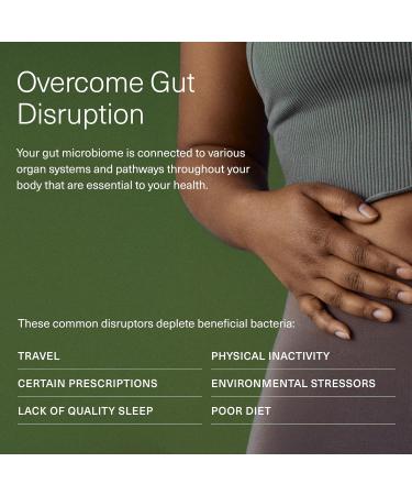 Seed 14 Day Gut Reset - Prebiotic and Probiotic for Women & Men - Digestive Health Gut Health Rapid Gut Recovery Bloating & Constipation Relief - Vegan & Shelf-Stable - 28 Capsules (14-Day Supply) - Buy Online on GoSupps.com