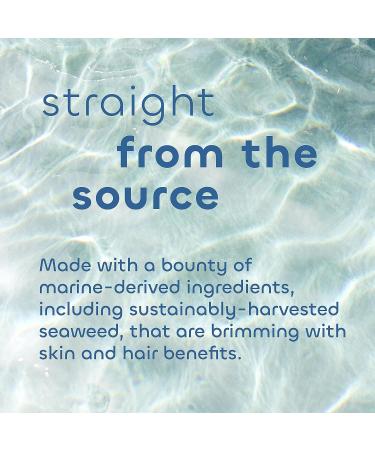 Seaweed Bath Co. Calm Body Cream with Vetiver Geranium Scent - 6 Ounce - Buy Online on GoSupps.com