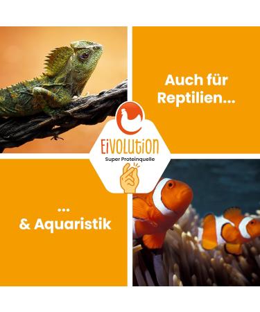 Eigenbilflarl Dried Larvae 800G | High-Protein Chicken Food | Ideal for Birds Fish & Quails | Premium Quality - Buy Online on GoSupps.com