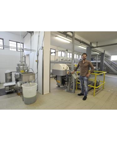 Authentic 100% Italian Extra Virgin Olive Oil 5L Canister - Gnavolini Raccolta Sapore | Cold Pressed for Culinary Excellence - Buy Online on GoSupps.com