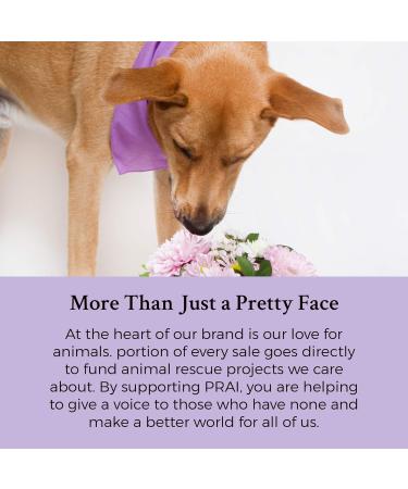 PRAI BEAUTY 24K Gold Concentrate Retinol+ - Gold Infused and Hyaluronic Acid for Maximum Skin Hydration - Anti-Aging Formula Reduces Fine lines and Wrinkles 30ml - Buy Online on GoSupps.com