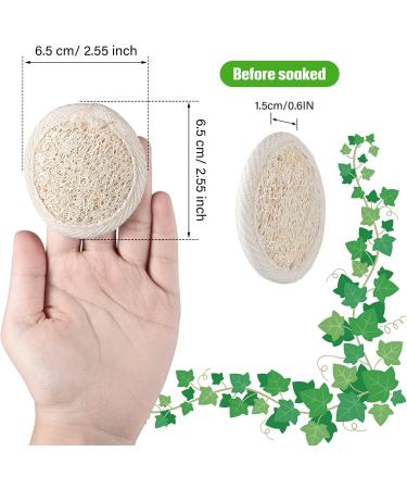 Exfoliating Loofah Sponge Pad - 36 Pieces, Natural Bath and Shower Scrubber for Face and Body - Handheld Manual Cleanser and Massager for Men and Women - Buy Online on GoSupps.com