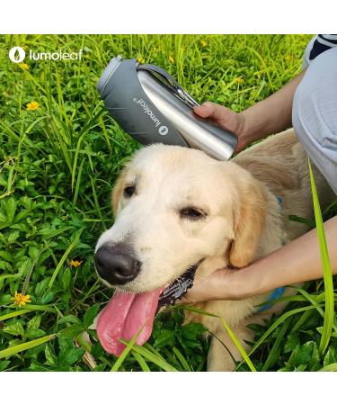 Buy Lumoleaf 800ml Stainless Steel Dog Drinking Bottle - Portable Pet Water Dispenser for Hiking & Camping (Gray) - Buy Online on GoSupps.com