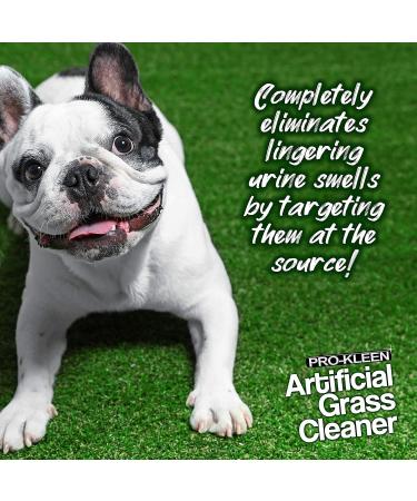 Pro-Kleen Artificial Grass Cleaner for Dogs and Pet Friendly Cruelty Free Disinfectant with Deodoriser 4 in 1 (10:1 Super Concentrate Makes 10 Litres) (1 Litre (Floral)) 1 l (Pack of 1) - Buy Online on GoSupps.com