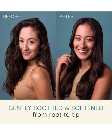 Aveeno Rose Water & Chamomile Conditioner for Dry Hair Hydrating 354 milliliters - Buy Online on GoSupps.com