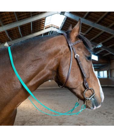 Organic Biothane Horse Reins - 16mm Wide 2.70m Long Dirt & Water-Repellent | Closed Reins for Horses & Ponies in Dark Green - Buy Online on GoSupps.com
