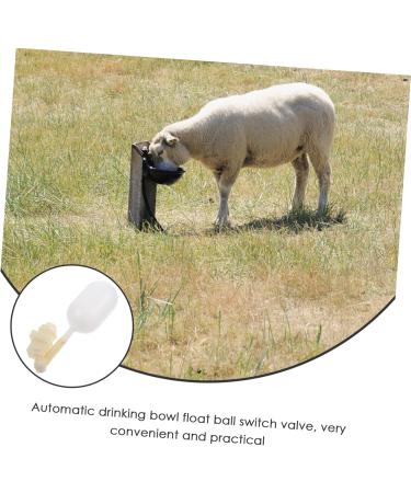 Ipetboom 1pc Water Level Controller Window Valances for Kitchen Float Ball Valve Switch Plastic Drinking Bowl 27x6cm Assorted Color - Buy Online on GoSupps.com