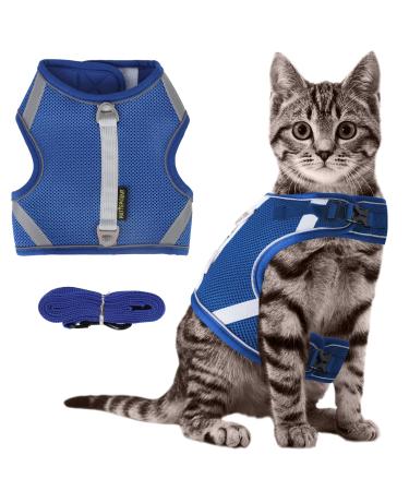 Cat dishes Breaking -out with a leash cat leash with dishes for cats cat reflectively patrols.