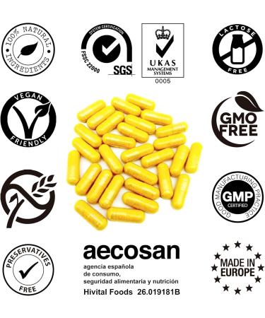 Turmeric Concentrated Extract 6000mg with 285mg Turmeric & Black Pepper | 120 Vegetable Capsules | Powerful Antioxidant for Cardiovascular & Joint Health - Buy Online on GoSupps.com