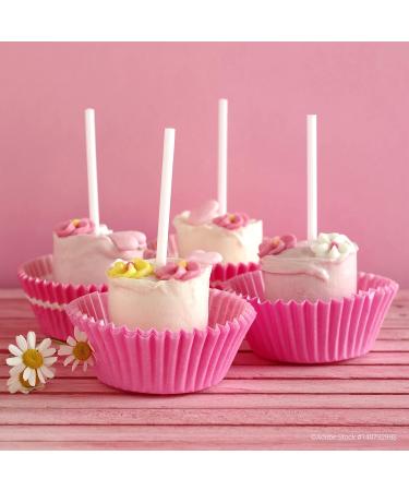 G nthart BackDecor Sugar Flowers Pink & White Edible Decorations for Baking - Buy Online on GoSupps.com