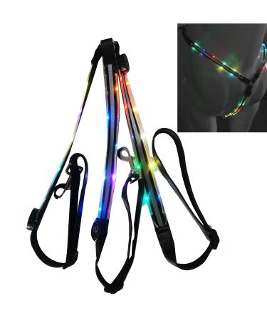 NEFTF LED Horse Breastplate Collar Bridle Halter High Visibility Tack for Night Horse Riding Colorful Changing