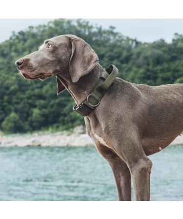 OneTigris Ranger Green Dog Collar with Metal Buckle | Durable Adjustable & Stylish for Dogs - International Shipping Available - Buy Online on GoSupps.com