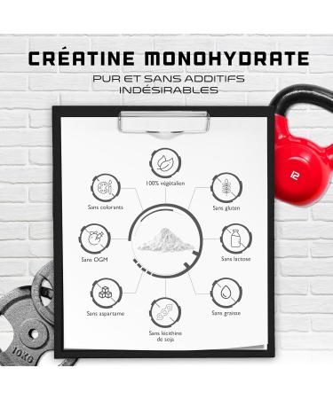 Creatine Powder - 500 g - Pure Creatine Monohydrate - Optimal Solubility - Vegan - No Additives - Pure Powder - German Elite Nutrition - Buy Online on GoSupps.com