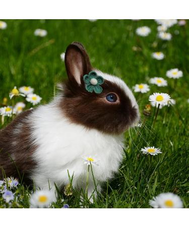 Hayaww 5 PCs Dog Hair Clips & Loops - Pet Accessories for Small Dogs & Cats - Blue Dog Arches & Hair Needles - Buy Online on GoSupps.com