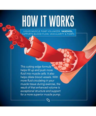 Siren Labs Vaso-VOL Liquid Muscle Pump Volumizer - Agmatine Sulfate Pre Workout for Enhanced Vascularity & Performance (Mixed Berry) - International Shipping Available - Buy Online on GoSupps.com