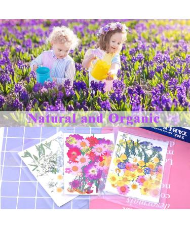 Dried Flowers and Leaves Kit for Resin Molds - 120 PCS with Tweezers for DIY Art, Crafts, Candle & Jewelry Making, Scrapbooking, Nail Art - Natural Pressed Floral Embellishments - Buy Online on GoSupps.com