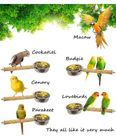 Stainless Steel Bird Feeding Cups - 2 Pack Hanging Parrot Cage Feeder & Water Bowl with Wood Perch - Ideal for Parakeets, Cockatiels, Lovebirds, Budgies - Buy Online on GoSupps.com