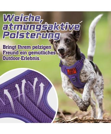 Rabbitgoo Small Dog Harness - Adjustable Anti-Train Robust Tactical Design with Metal Buckles - Perfect for Hiking (Purple) - Buy Online on GoSupps.com