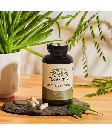 Terra Origin Digestive Enzymes - 60 Capsules for Optimal Digestion & Gut Health - Buy Online on GoSupps.com