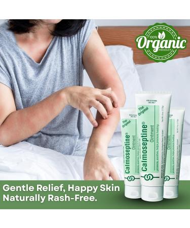 Calmoseptine Ointment 4 oz Tube (Pack of 12) - Baby Diaper Rash Cream Ointments for Butt rash Calmoseptine Ointment for heat Rashes and Itching Relief Effective Diaper Rash Cream for Adults and Kids - Buy Online on GoSupps.com