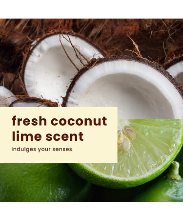 Hawaiian Tropic Lime Coolada Body Lotion & Daily Moisturizer After Sun 16 Fl Oz (Pack of 2) - Buy Online on GoSupps.com