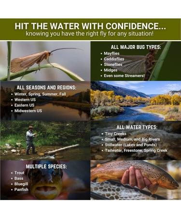 Ventures Fly Co. Premium Hand-Tied Fly Fishing Flies Assortment | 122 Flies + 2 Boxes | Dry, Wet, Nymphs, Streamers, Wooly Buggers, Terrestrials | Trout Bass Lure Set Kit Gift - Buy Online on GoSupps.com